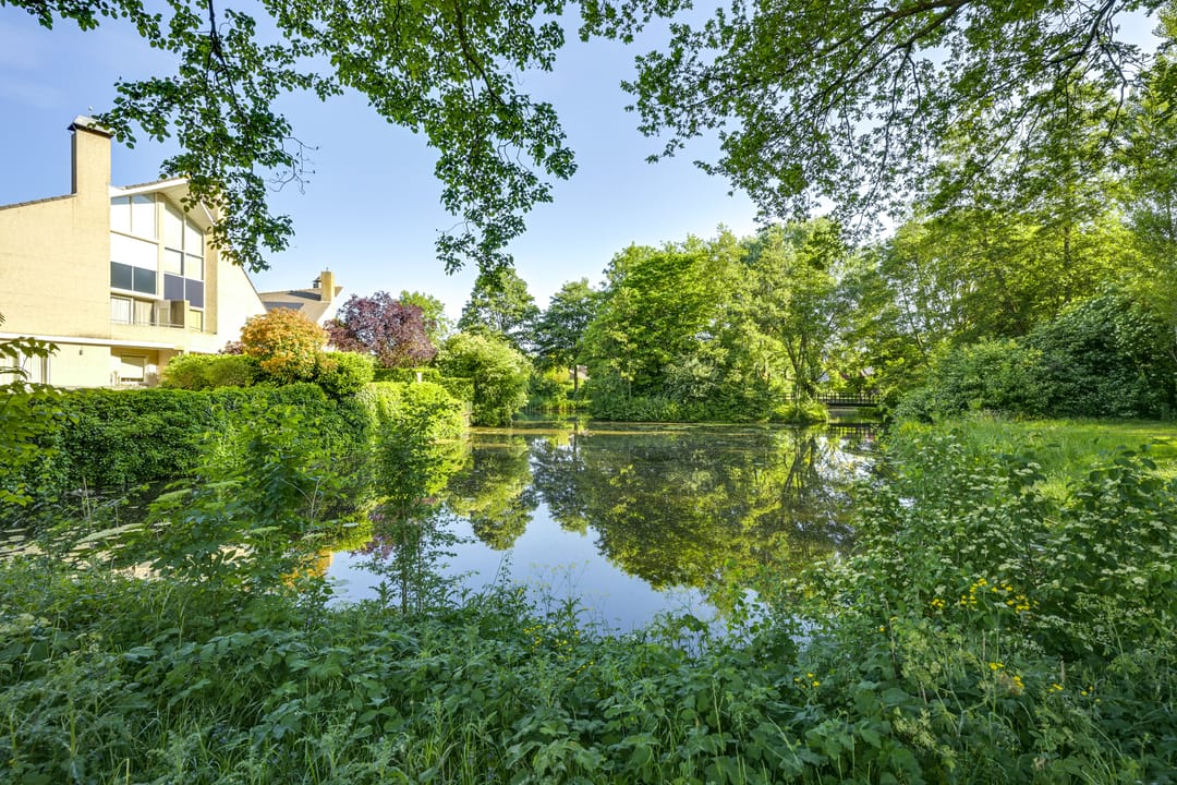 Foto 37 van Avondgaarde 41