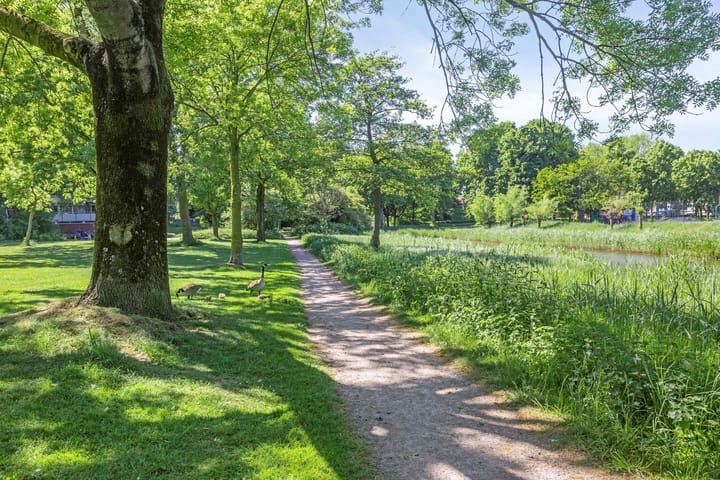 Foto 34 van Brahmsstraat 10