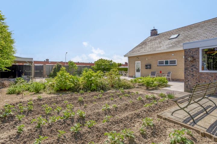 Foto 25 van Eilandstraat 2