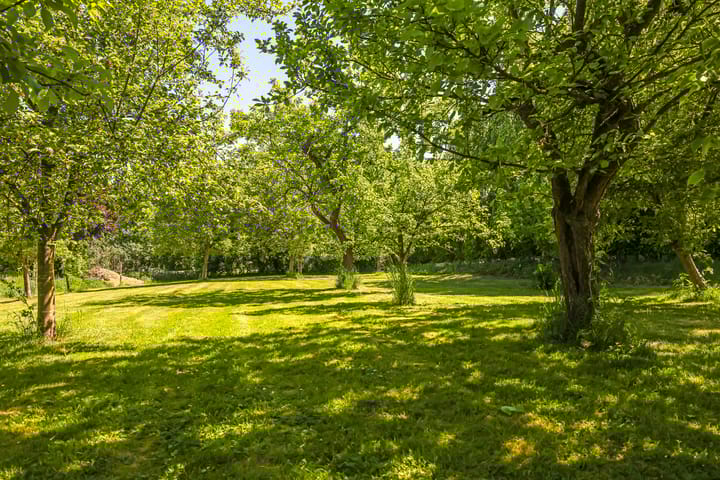 Foto 72 van Waalbandijk 94