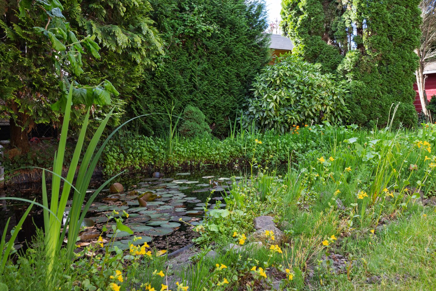 Foto 44 van de Gamert 2302