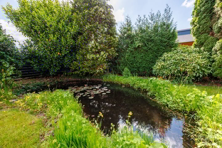 Foto 45 van de Gamert 2302