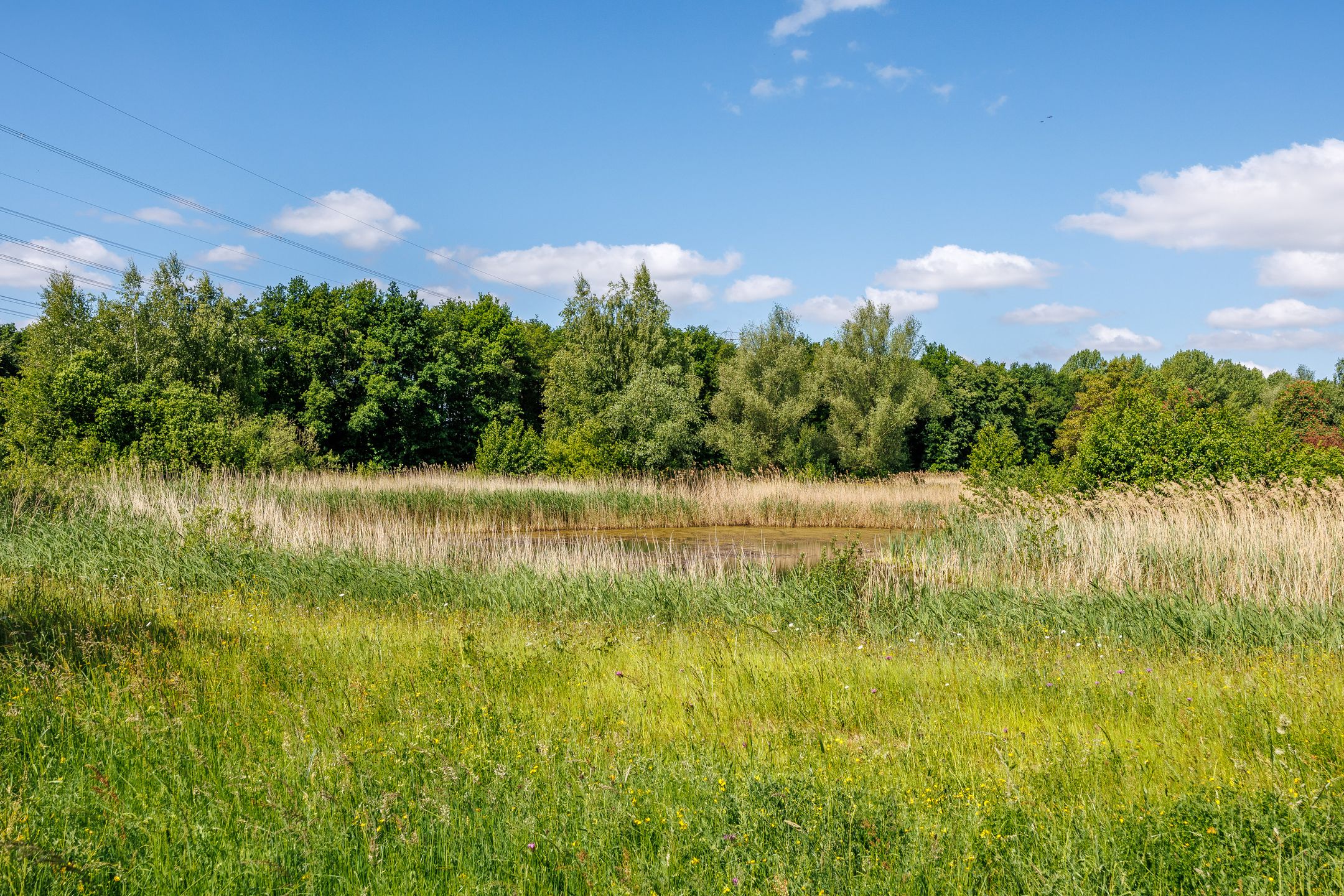 Foto 60 van de Gamert 2302