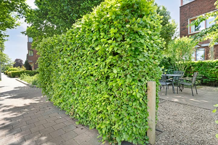 Foto 3 van Twistvlietpad 55