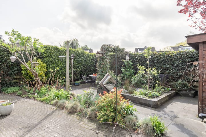 Foto 2 van Agaatvlinder 58