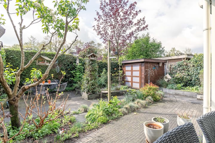 Foto 5 van Agaatvlinder 58