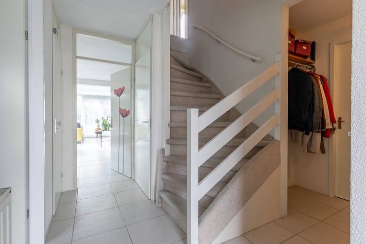 Foto 7 van Agaatvlinder 58