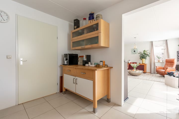 Foto 18 van Agaatvlinder 58