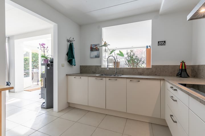 Foto 20 van Agaatvlinder 58