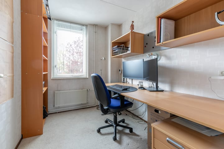 Foto 35 van Agaatvlinder 58