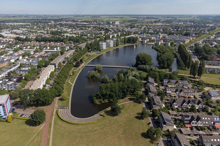 Foto 42 van Agaatvlinder 58