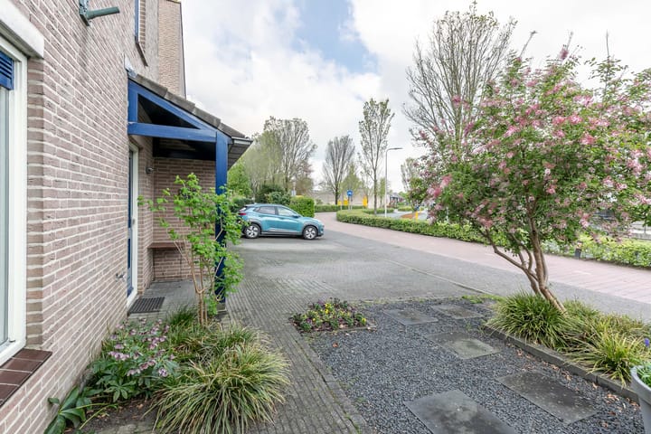 Foto 43 van Agaatvlinder 58