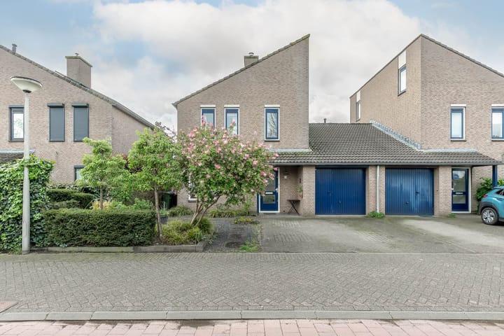 Foto 44 van Agaatvlinder 58