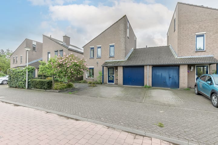 Foto 45 van Agaatvlinder 58