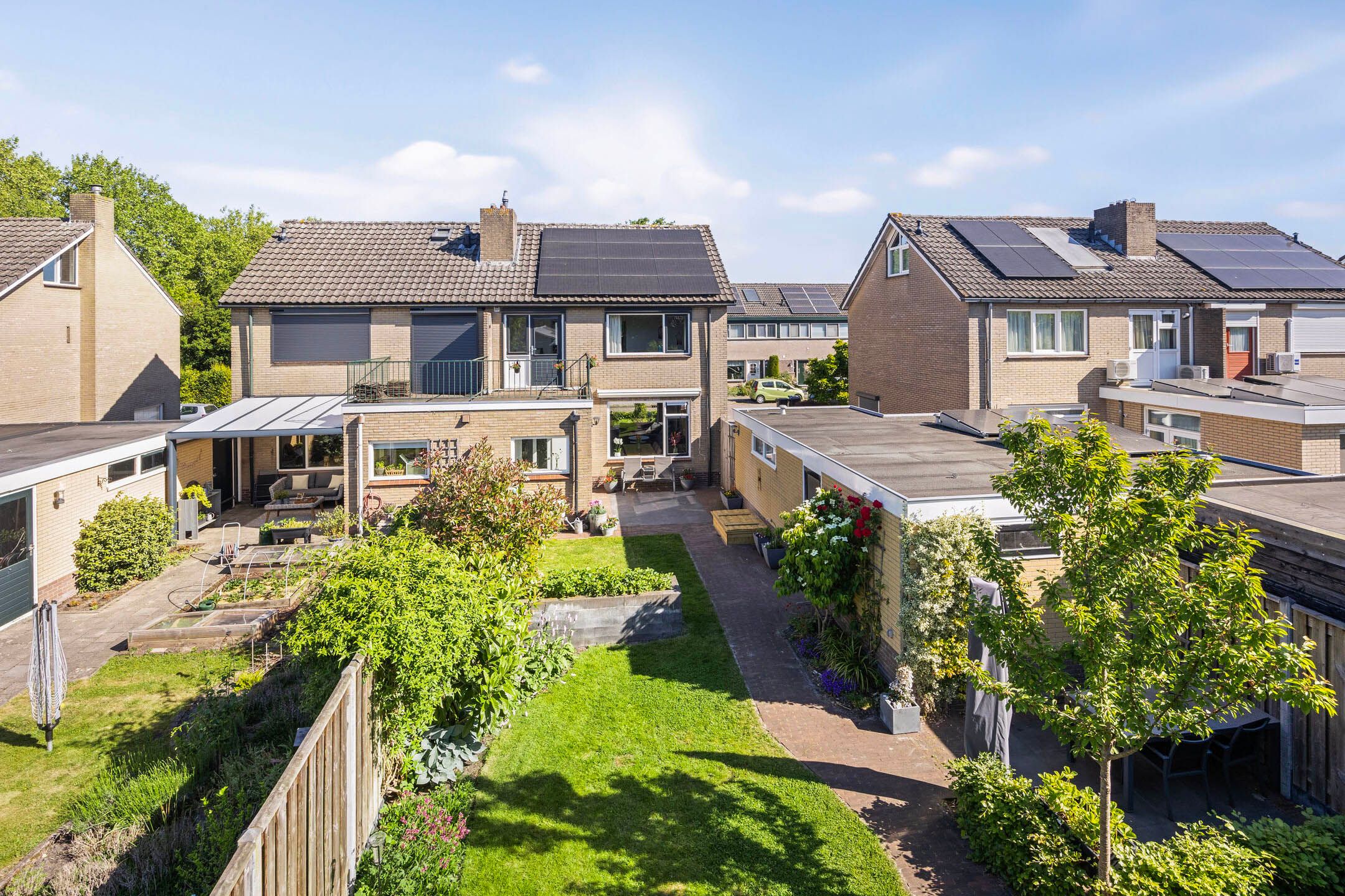 Photo 3 of De Prunus 11