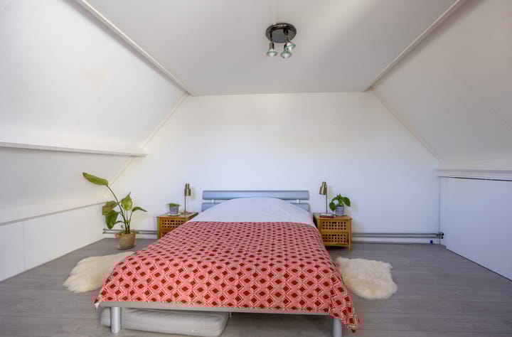 Foto 30 van Hooischelf 21