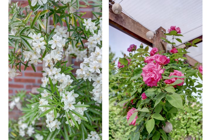 Foto 32 van Rotterdamseweg 150-A