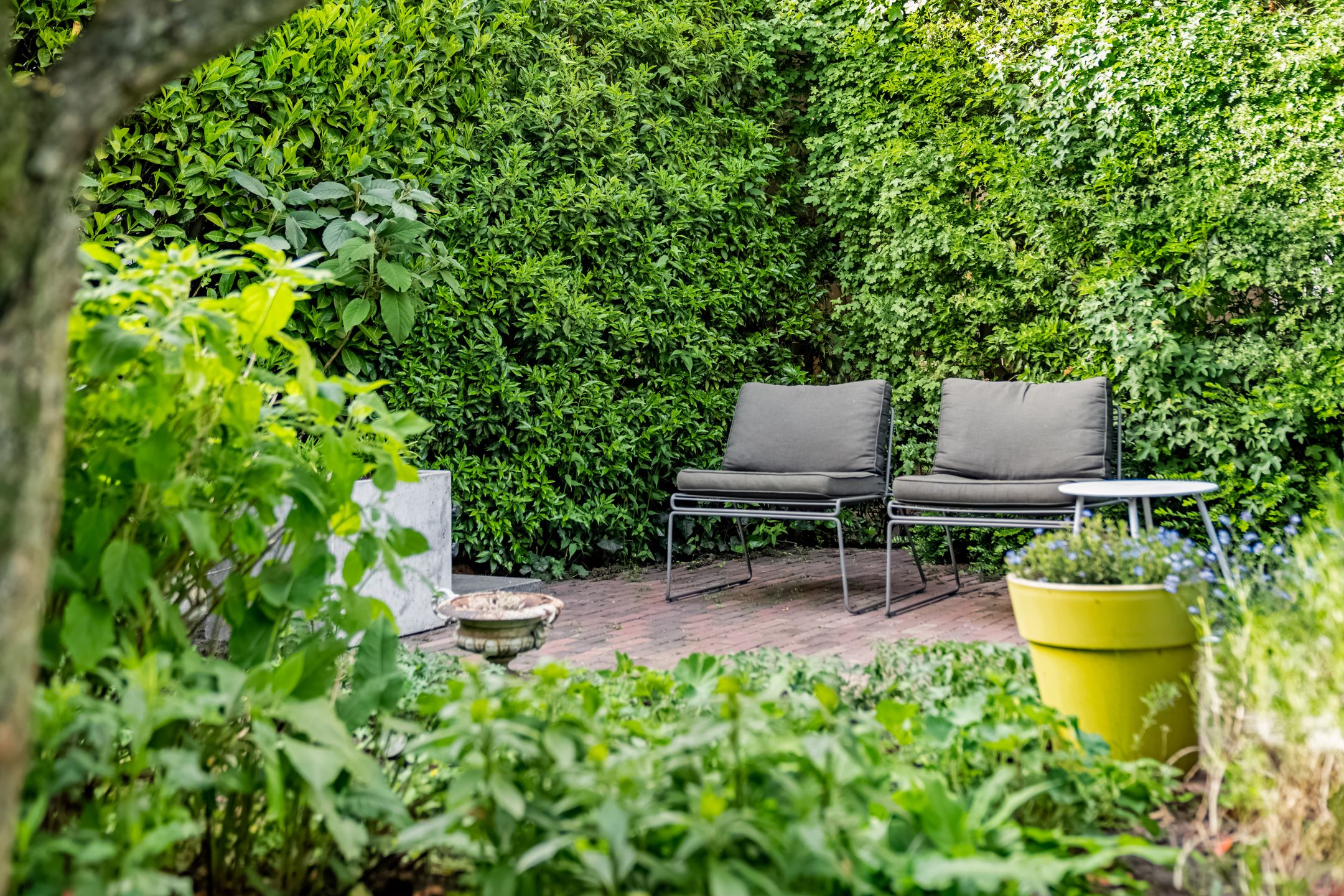 Foto 36 van Gesloten Stad 8