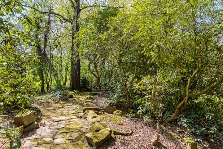 Foto 60 van Petersdijk 2