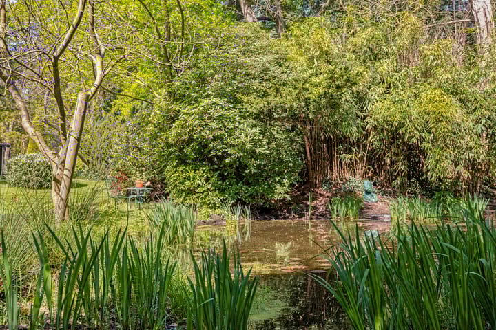 Foto 62 van Petersdijk 2