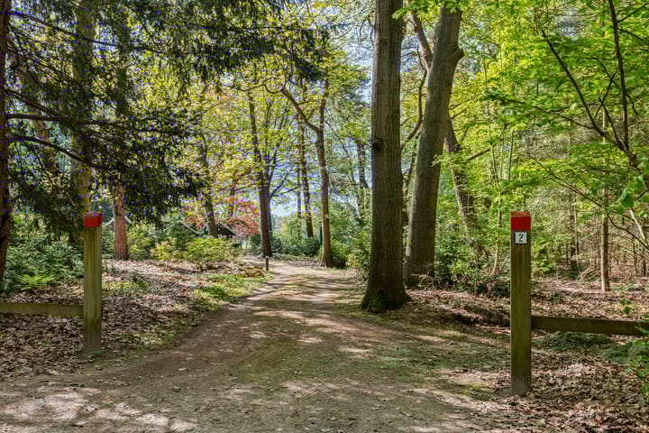 Foto 63 van Petersdijk 2