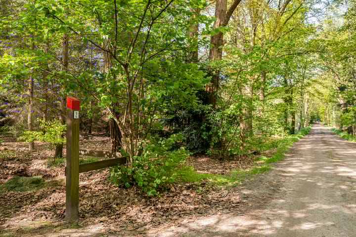 Foto 64 van Petersdijk 2