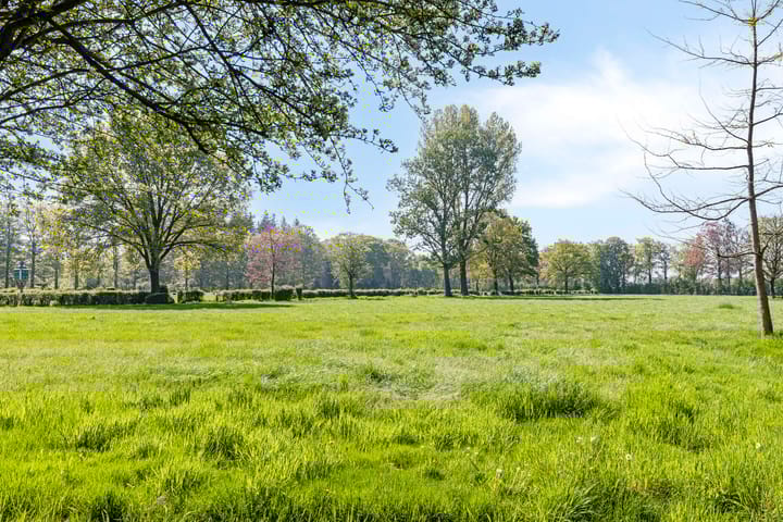 Foto 78 van Petersdijk 2