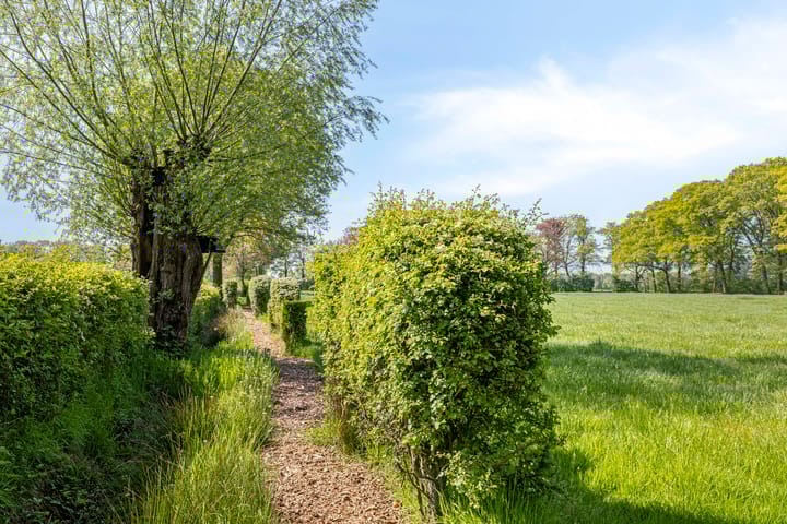 Foto 84 van Petersdijk 2