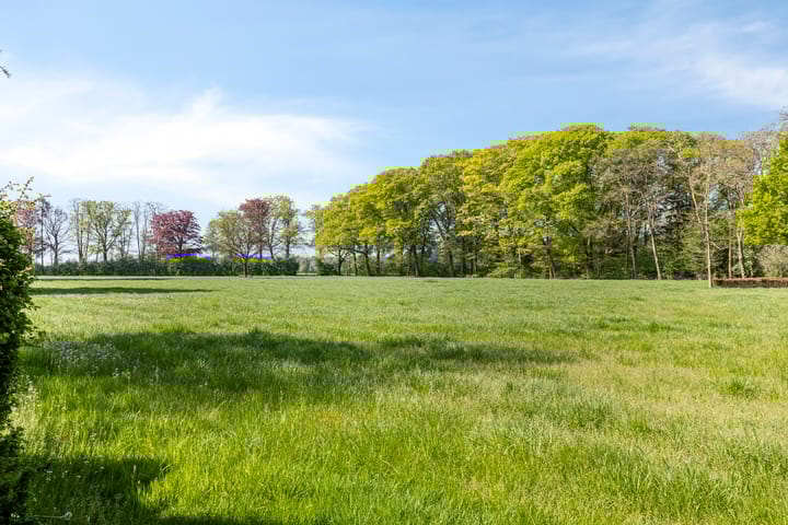 Foto 85 van Petersdijk 2