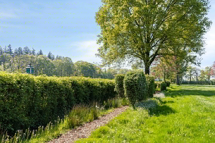 Foto 86 van Petersdijk 2