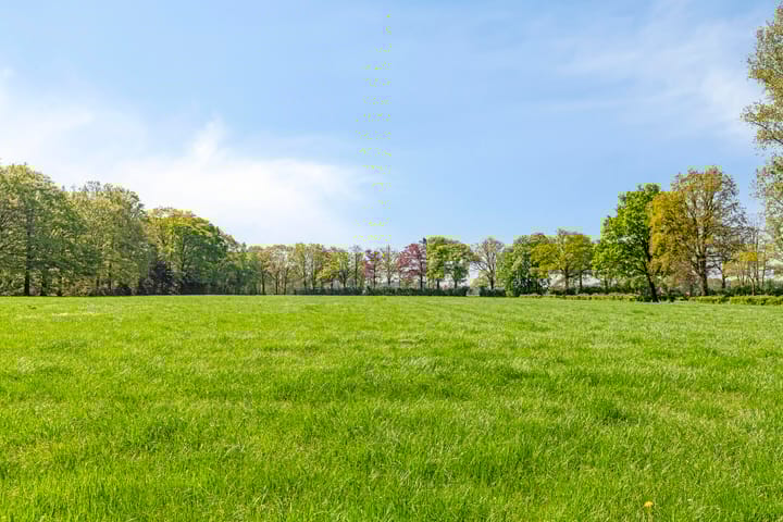 Foto 91 van Petersdijk 2