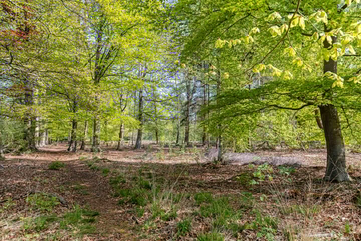 Foto 94 van Petersdijk 2