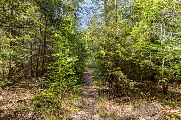 Foto 96 van Petersdijk 2