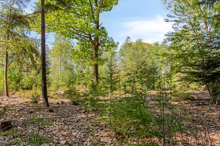 Foto 97 van Petersdijk 2