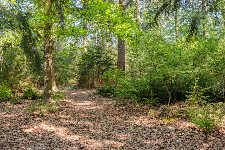 Foto 98 van Petersdijk 2