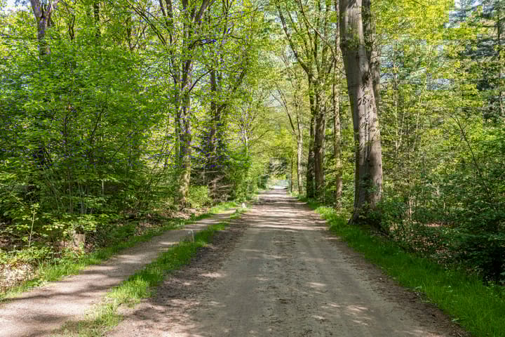 Foto 100 van Petersdijk 2