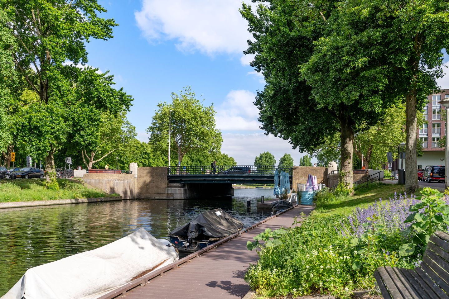 Foto 40 van Pieter van der Doesstraat 33-H