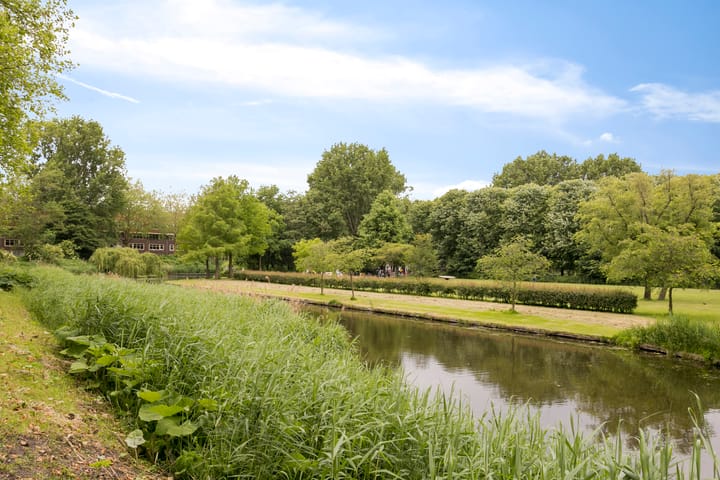 Foto 44 van Pieter van der Doesstraat 33-H