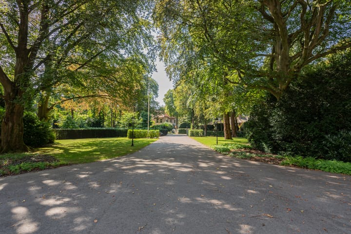 Foto 24 van Wilhelminalaan 3-E