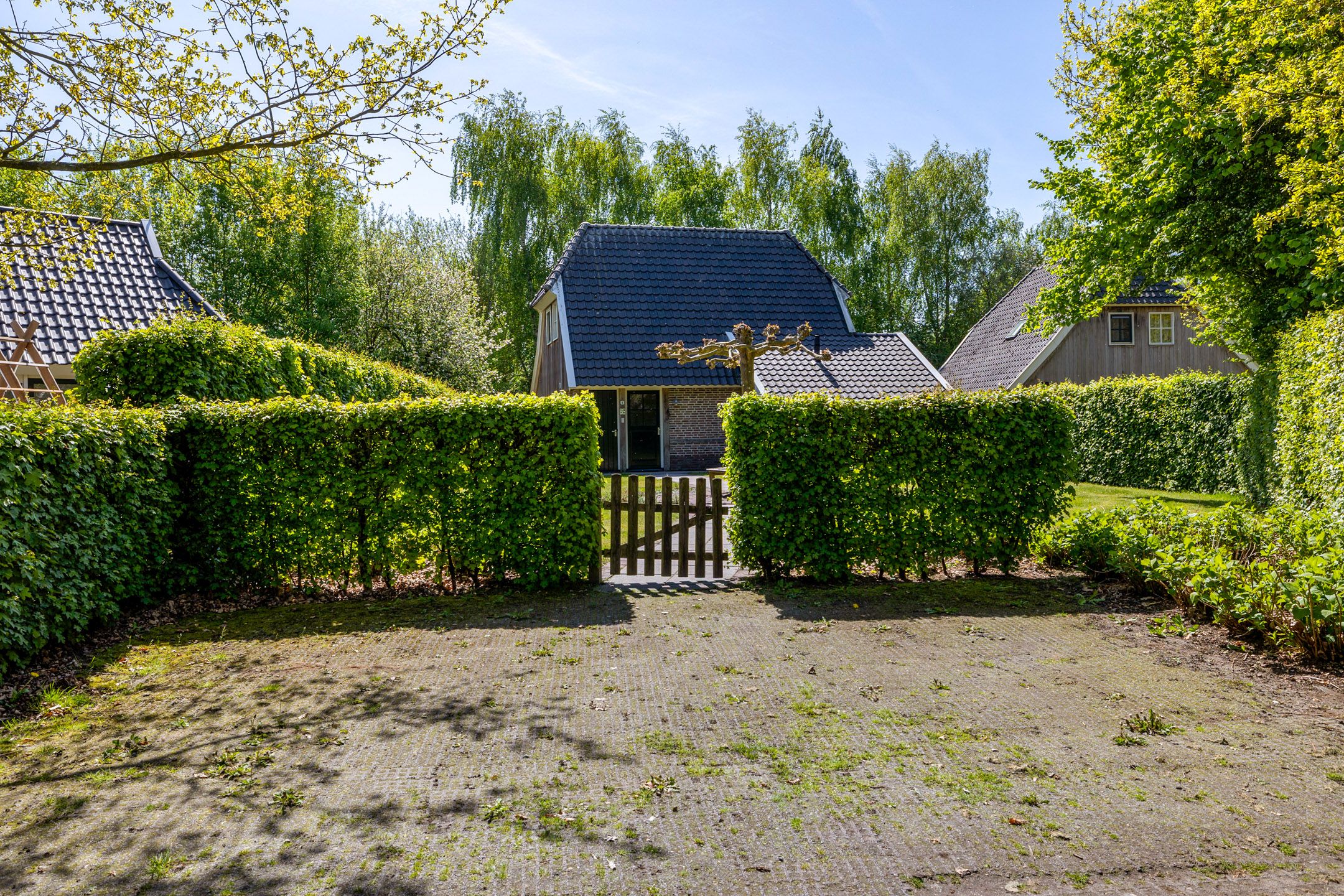 3-bedroom freehold villa in Witteveen — photo 3 of 5