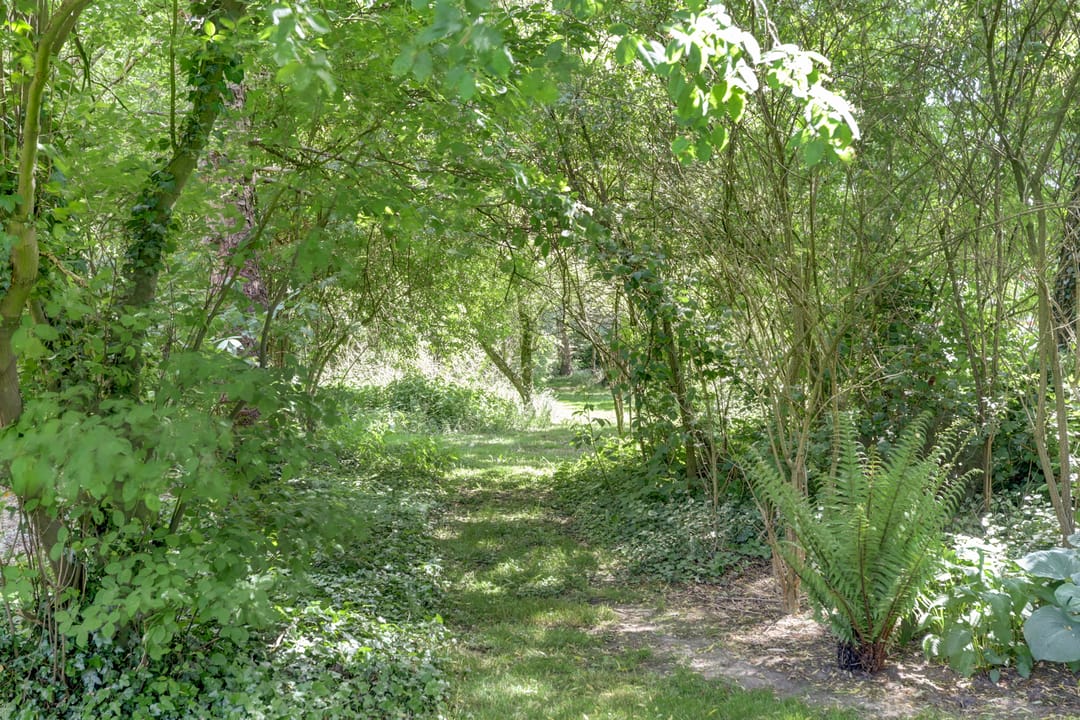 Foto 62 van Grotersweg 1