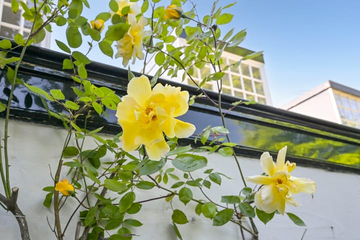 Foto 2 van Javastraat 157