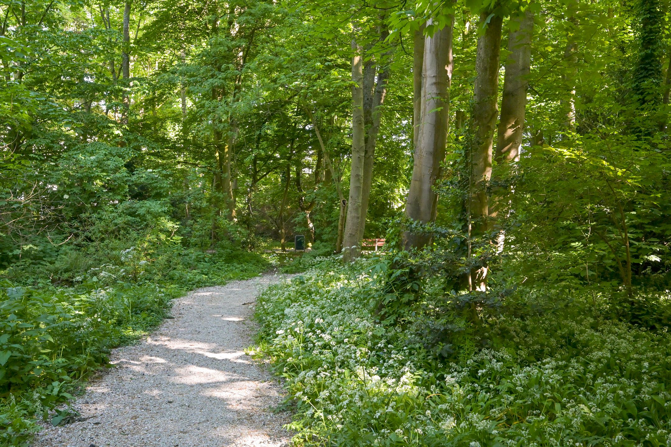 Foto 36 van Javastraat 157