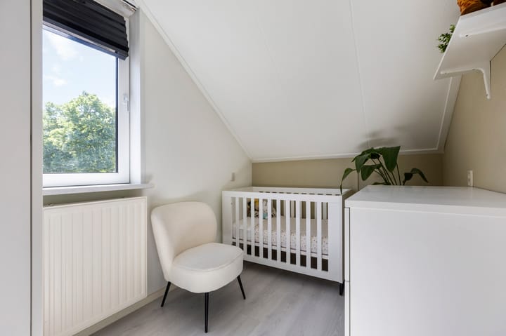 Foto 24 van Ribesstraat 21