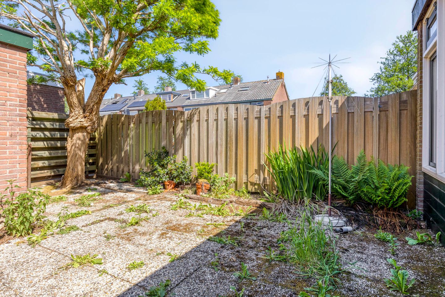 Foto 29 van Schepenstraat 12