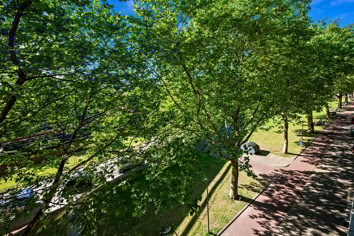 Foto 14 van Mijnsherenlaan 168-C