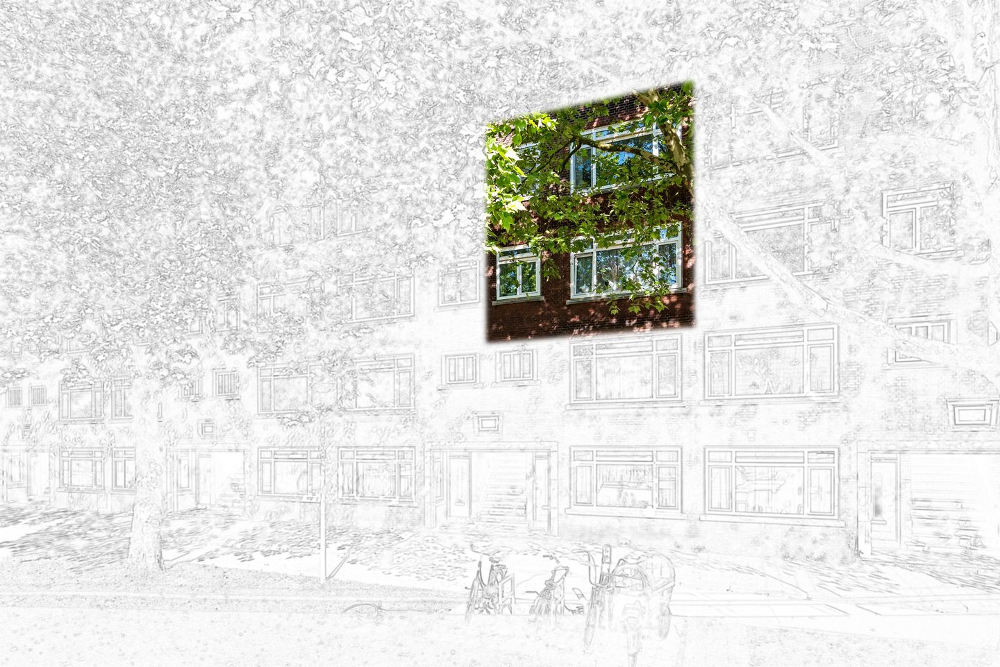 Foto 34 van Mijnsherenlaan 168-C