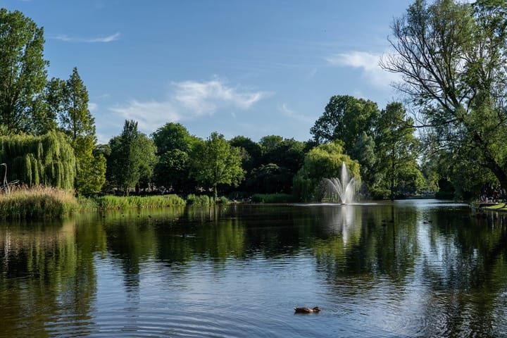 Photo 41 of Pretoriusstraat 56-1