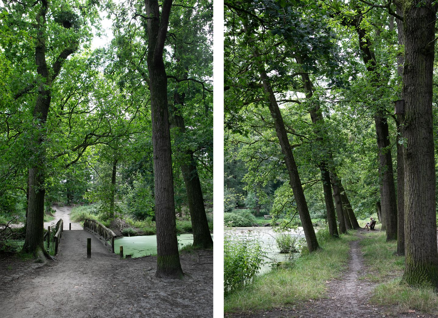 Foto 49 van Valkenburgerlaan 18