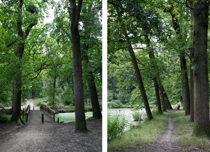 Foto 49 van Valkenburgerlaan 18